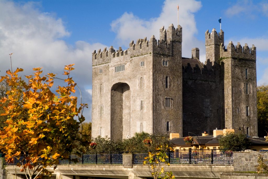 Wildlife-Bunratty-Castle-insetcms