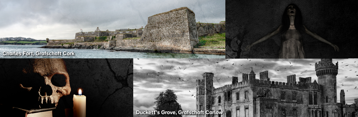 new-collage_1_DE