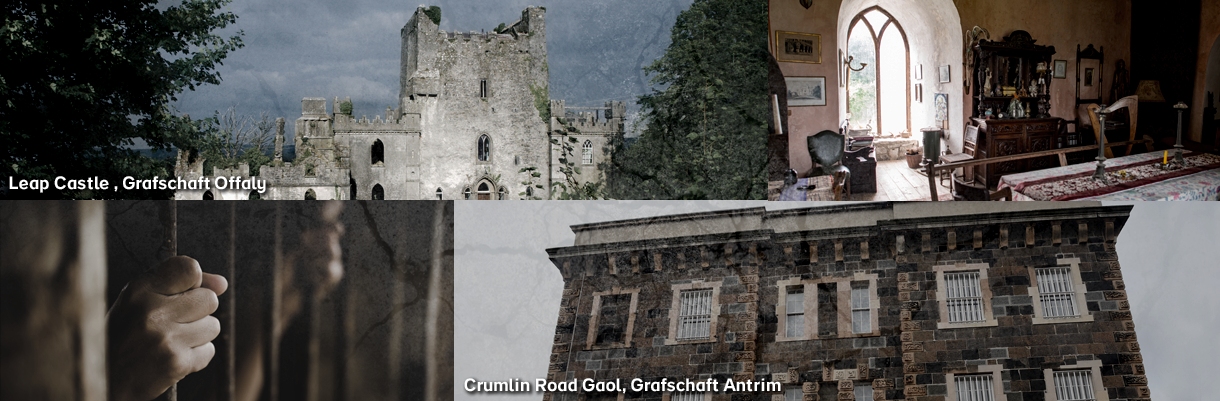 new-collage_2_DE