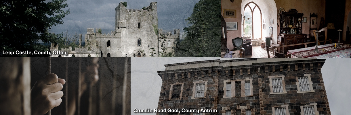 new-collage_2_NL