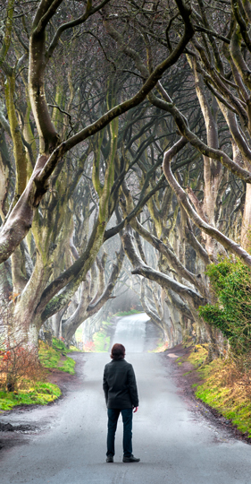 ni-hedges-offsettout