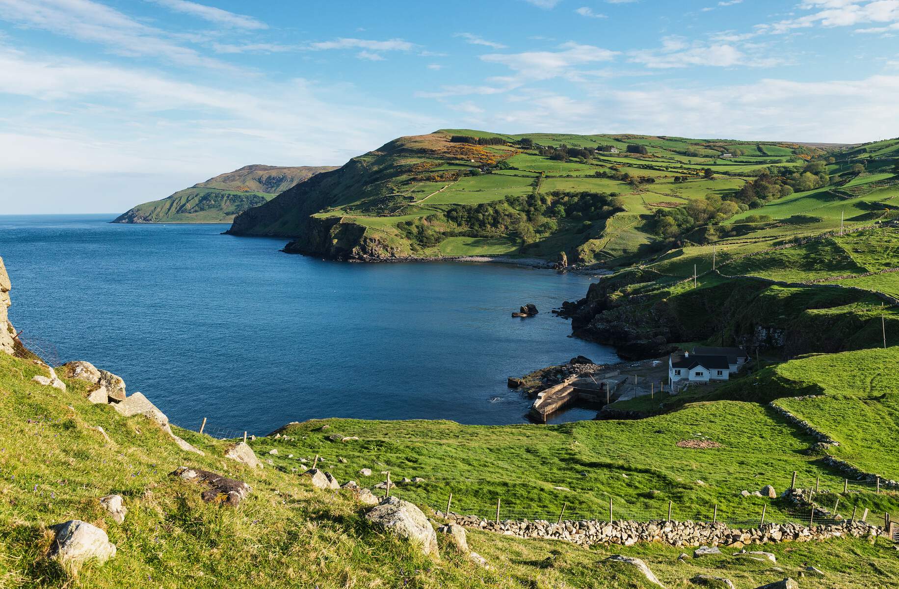 28045_Torr Head