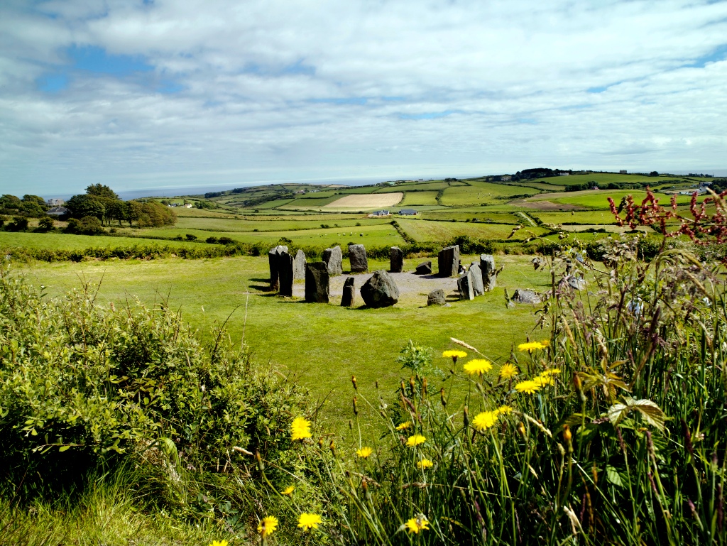 Un antico cerchio di pietre incastonato nella verde campagna con fiori selvatici in fiore nella West Cork.