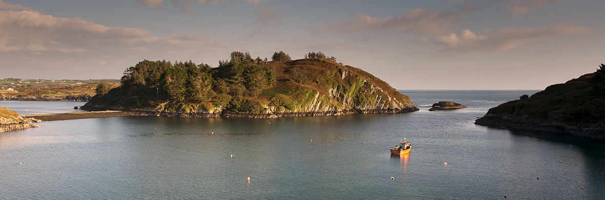 Lough-Hyne-West-Cork