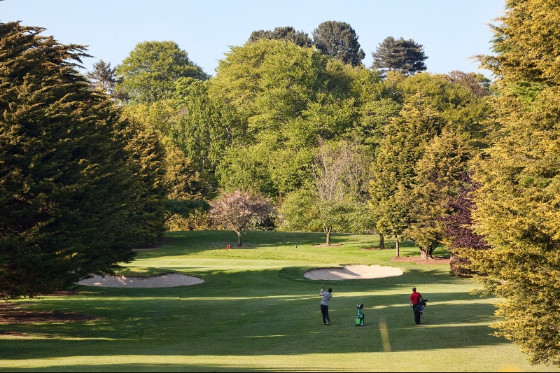 Warrenpoint Golf Club in County Down, tree-lined fairways offering a peaceful round with lush green scenery.