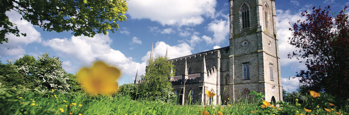 La Cattedrale di Downpatrick, nella contea di Down, incorniciata da alberi e fiori selvatici sotto un cielo azzurro.