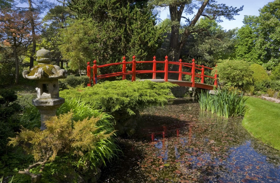 Rode boogbrug weerspiegeld in een vijver in de Japanse tuinen van het Irish National Stud, omgeven door zomerbladeren.