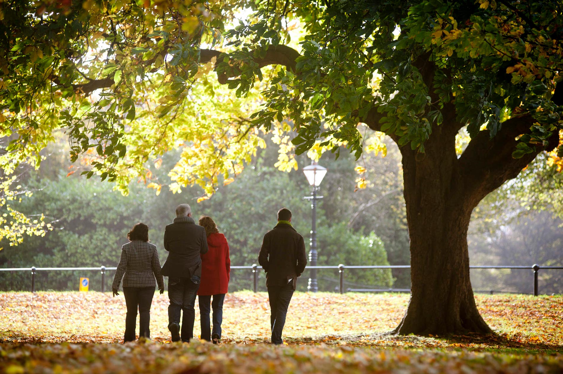 Group of people walking under autumn leaves in Phoenix Park, Dublin.