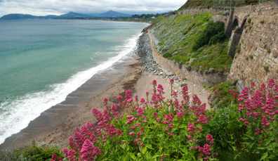 killiney bay