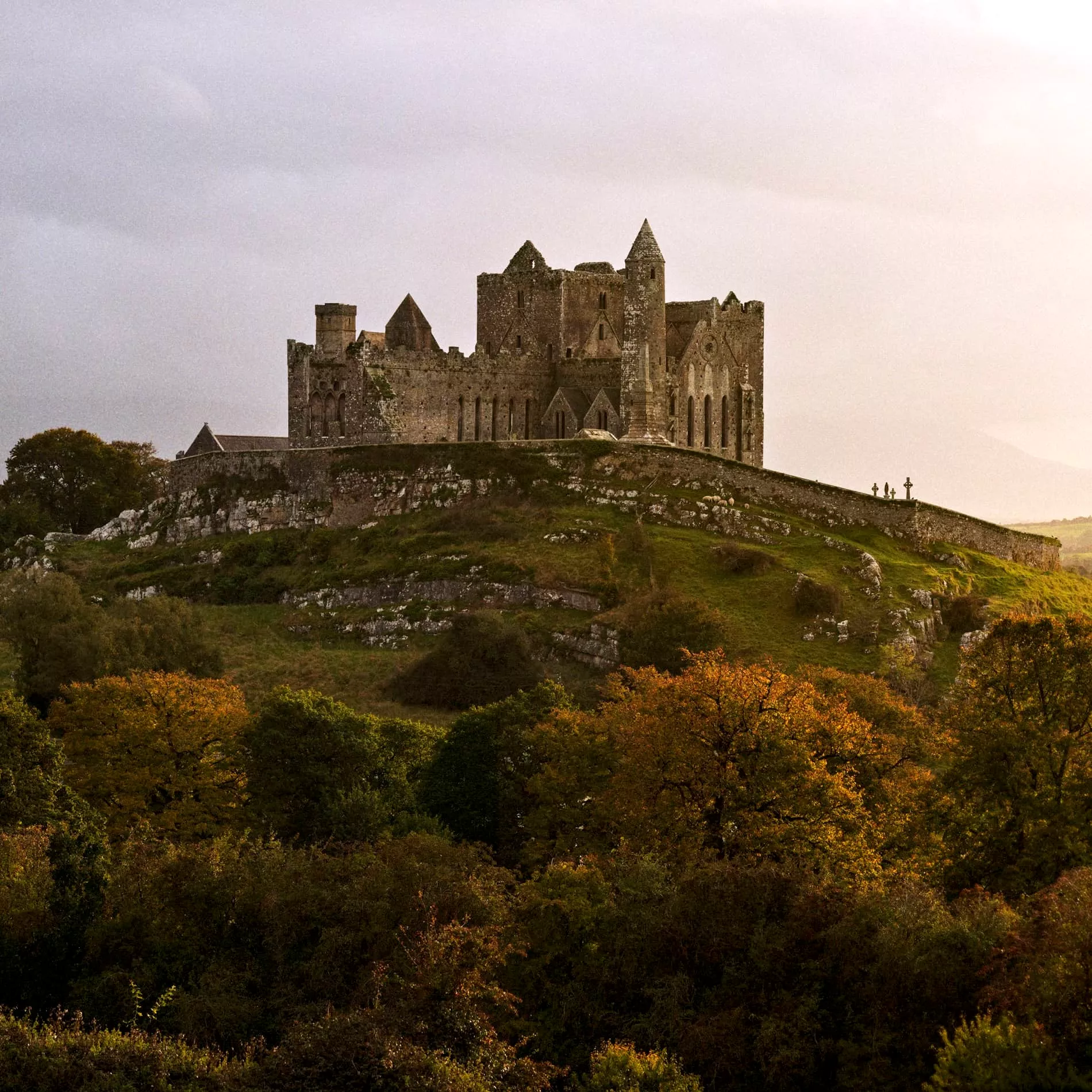 Soft golden light over the Rock of Cashel rising above rolling green and autumn-tinged fields under a hazy sky.