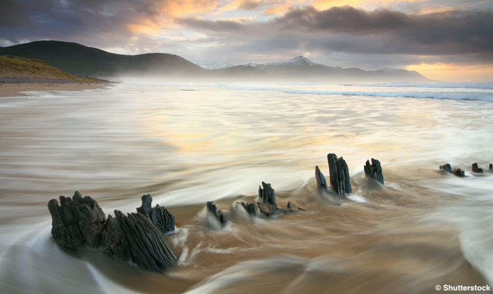 Des vestiges de forêt submergée sur la plage de Glenbeigh dans le comté de Kerry, en Irlande, au lever du soleil avec des vagues brumeuses.