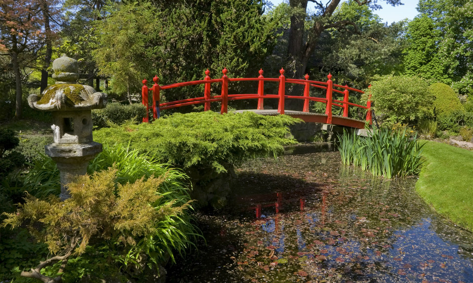 Red arched bridge over a pond in the Japanese Gardens at the Irish National Stud, County Kildare, surrounded by greenery.