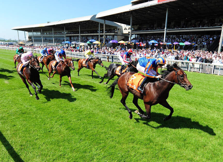Course de chevaux pur-sang en action à l'hippodrome de Curragh, comté de Kildare.