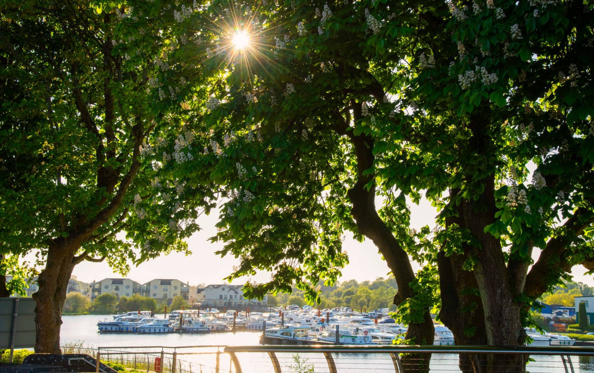 Carrick-on-shannon, County Leitrim