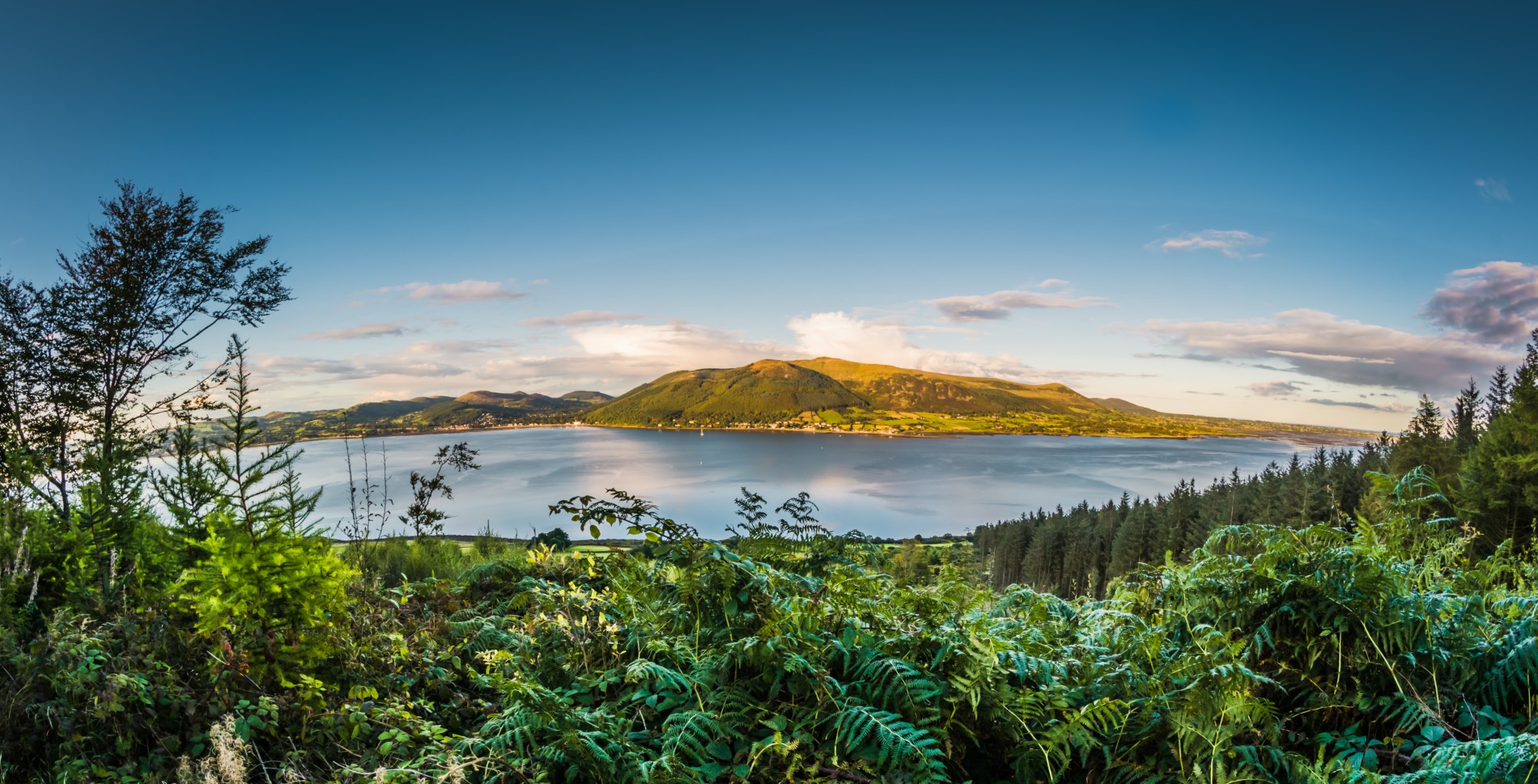 Bebost heuvellandschap met uitzicht op Carlingford Lough en de Mourne Mountains bij zonsondergang in de buurt van Newry.