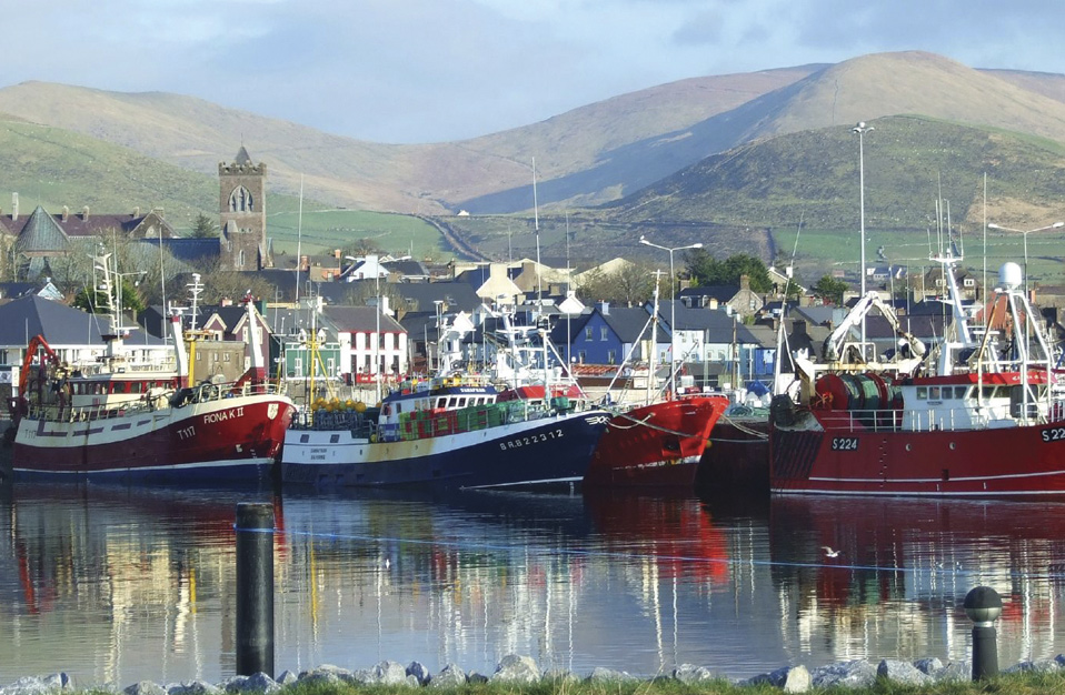 wild-ireland-quiz-q1-dingle