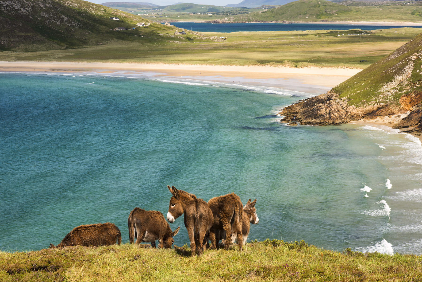 wild-ireland-quiz-bg