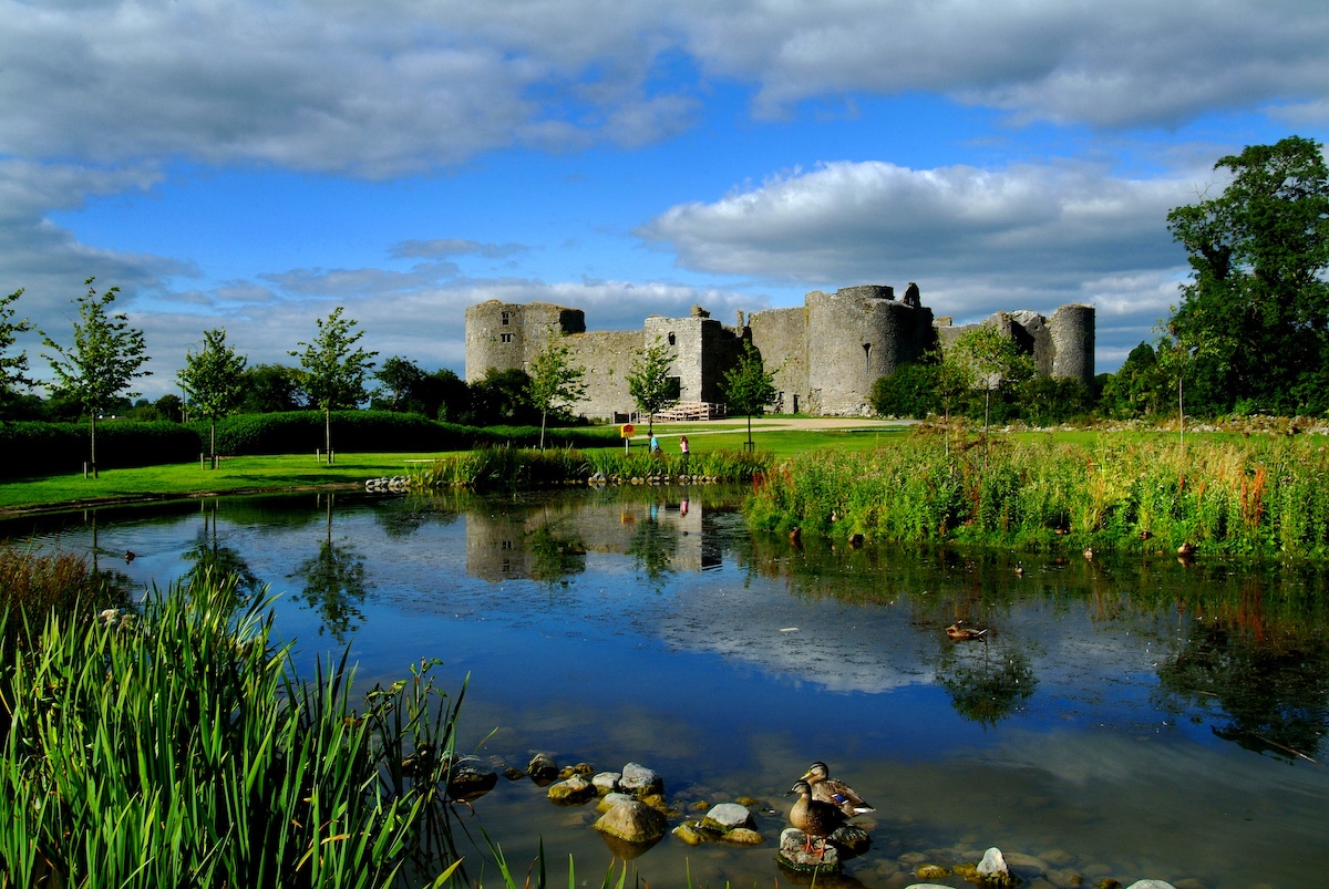 Steinerne Ruinen des Roscommon Castle, die sich in einem stillen Teich spiegeln, umgeben von Grün und Bäumen.