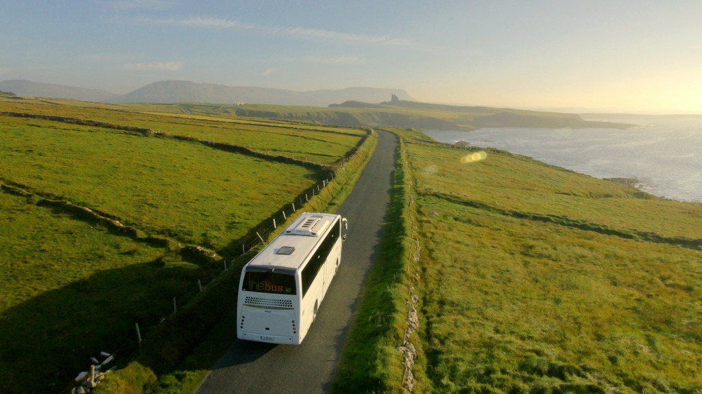 are dogs allowed on buses in ireland