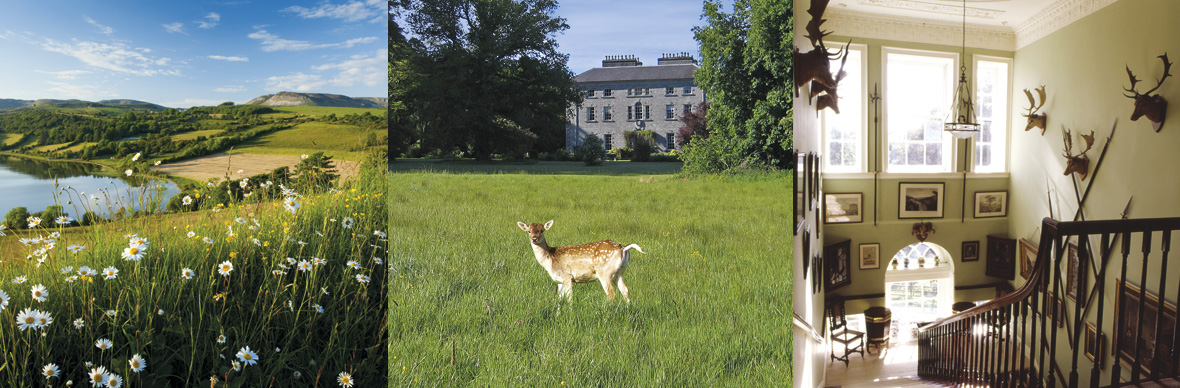 Triptychon von Coopershill in Sligo mit einer Außenlandschaft, einem Hirsch vor einem Herrenhaus und einem Treppenhaus im Inneren.