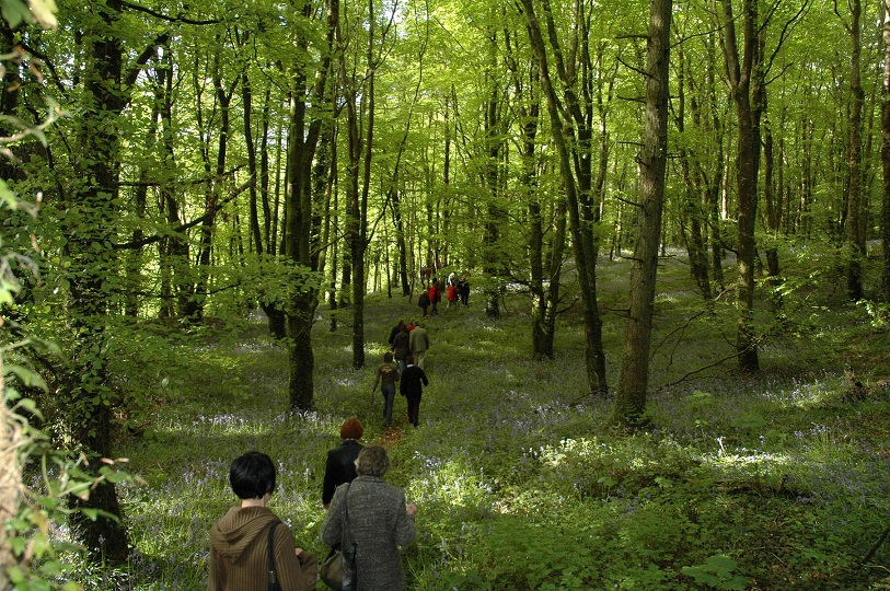 Slieve Bloom, County Offaly