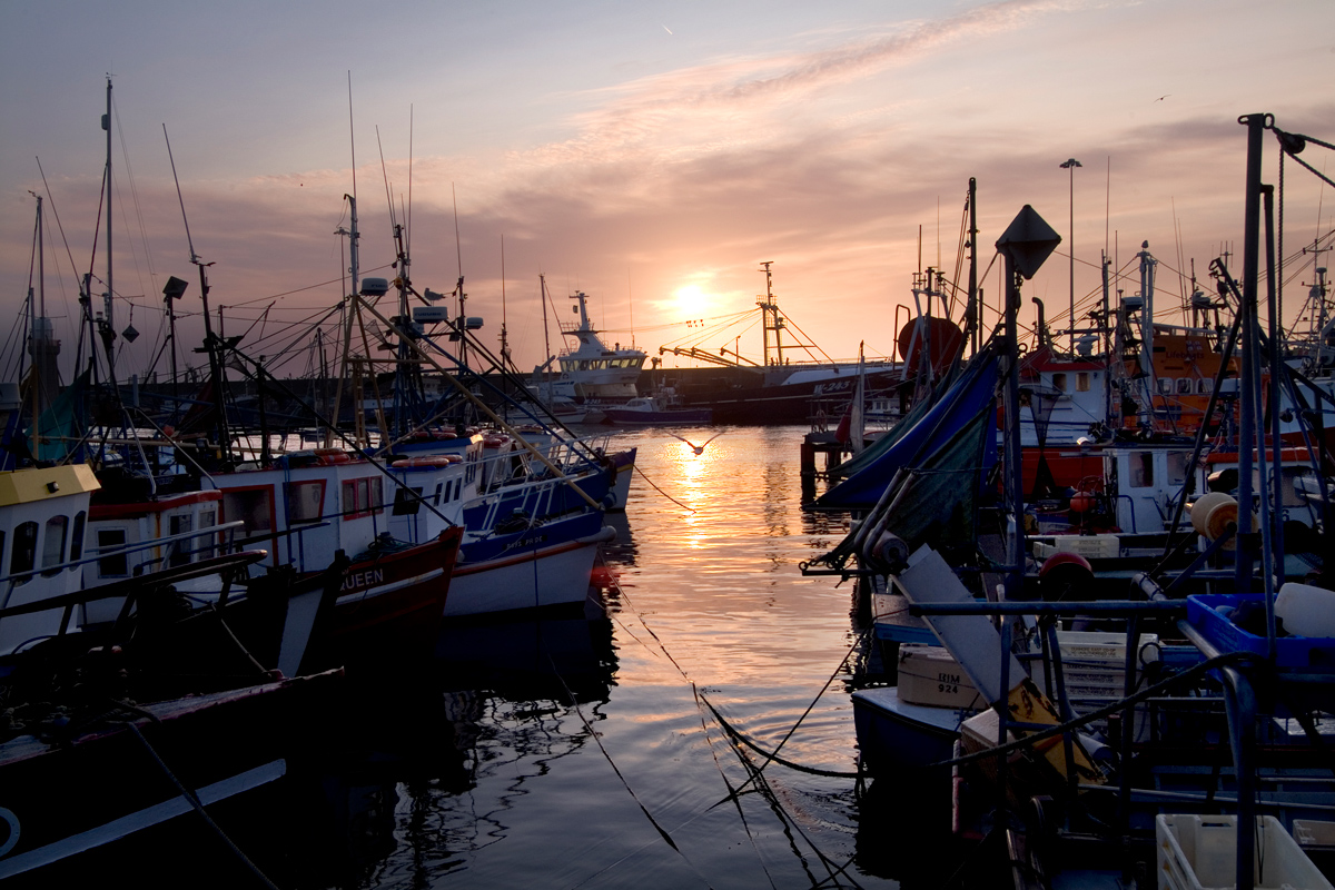 Vissersschepen aangemeerd in Dunmore East bij zonsondergang, met gouden licht dat van het water en de masten weerkaatst.