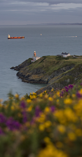 Howth Cliff Path, County Dublin