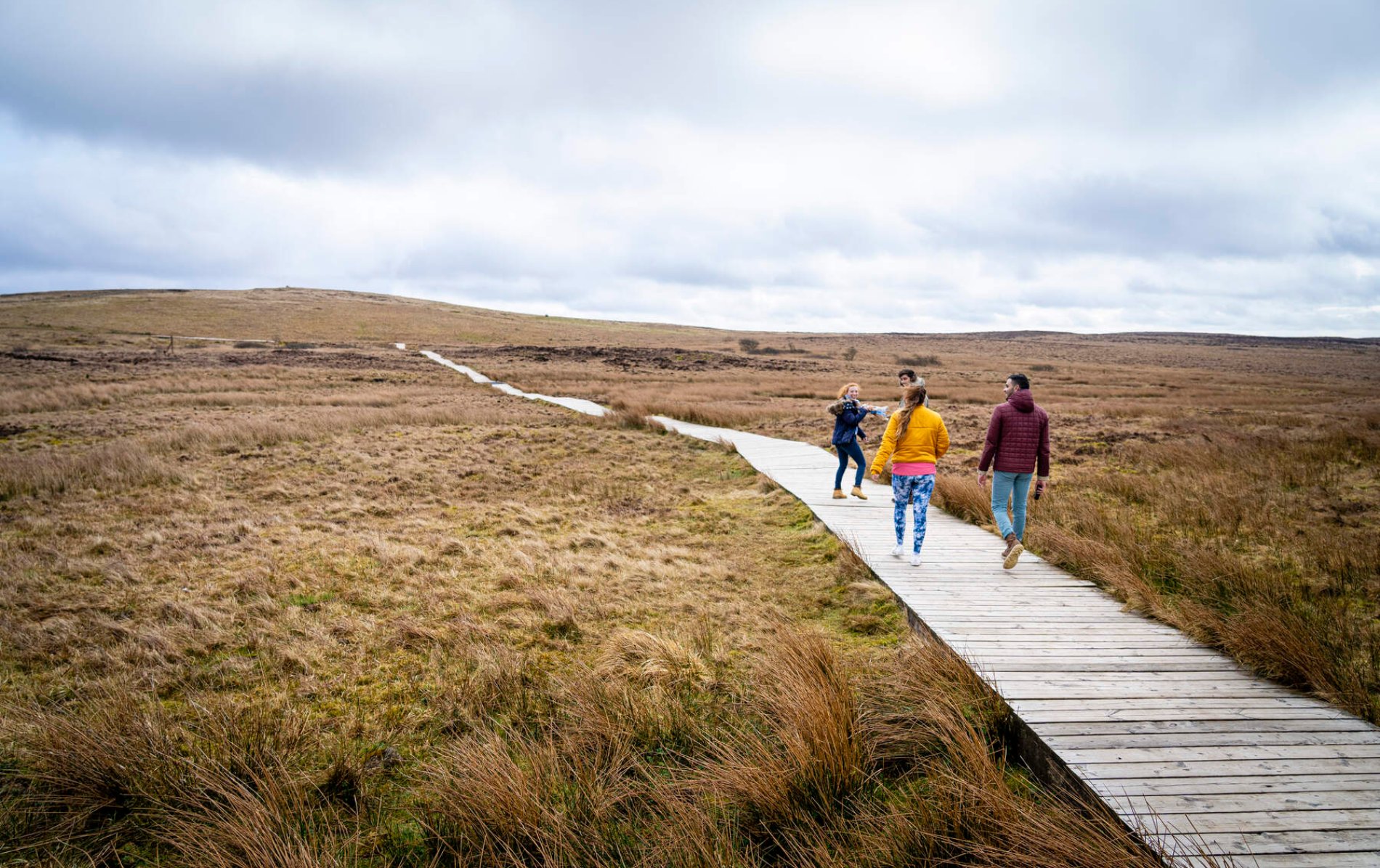 belfastwalks-divisblackmountains