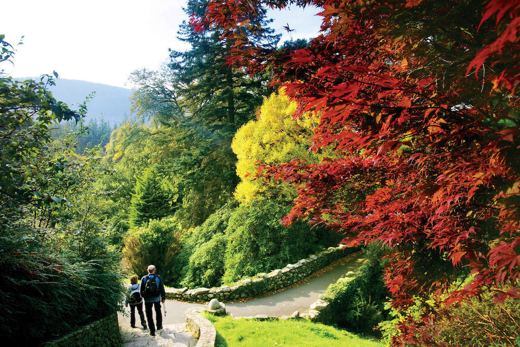 Walkers exploring colourful autumn woodland at Tollymore Forest Park, County Down.