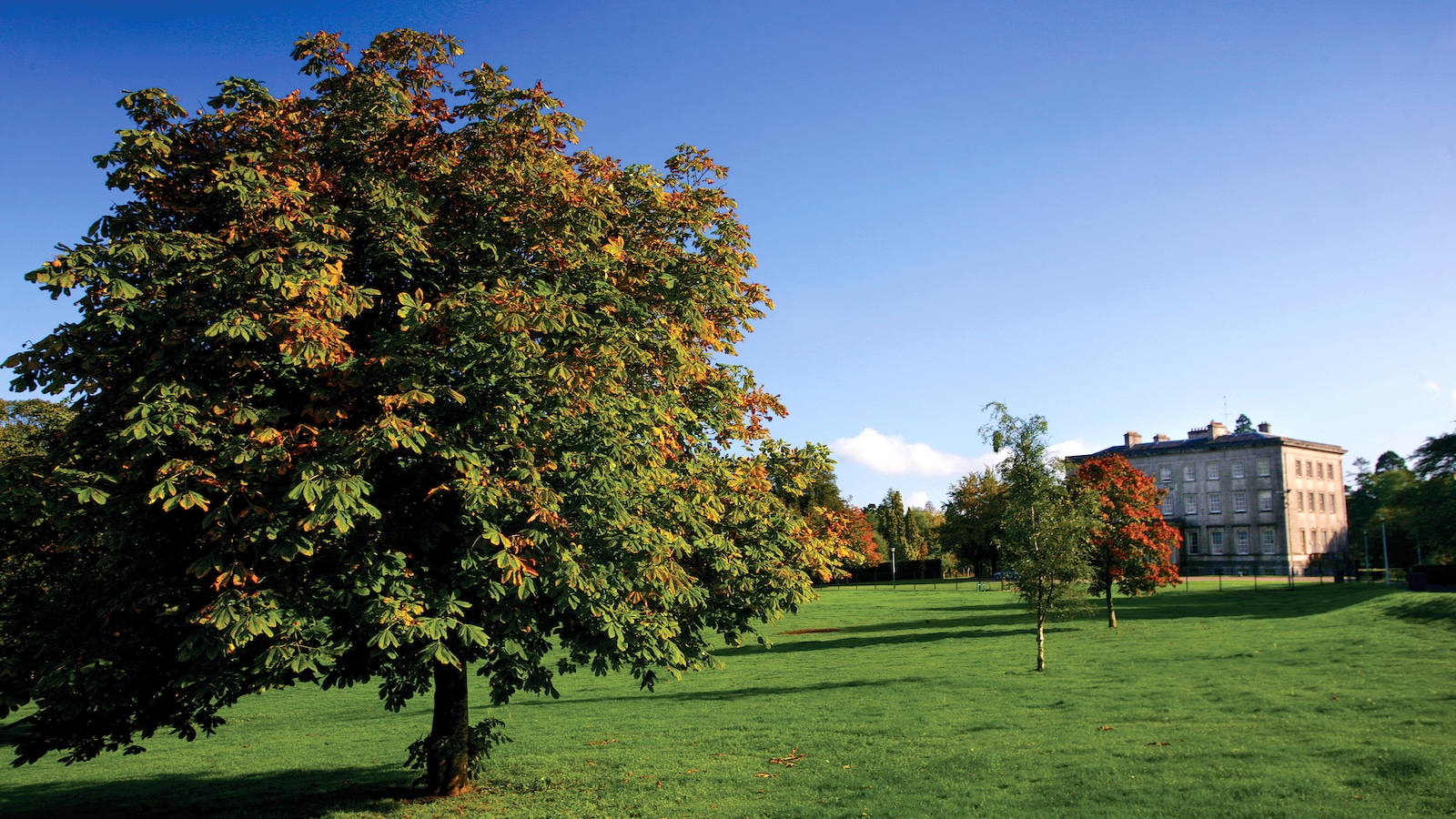 Armagh Palace Demesne with mature trees and historic palace grounds in County Armagh.
