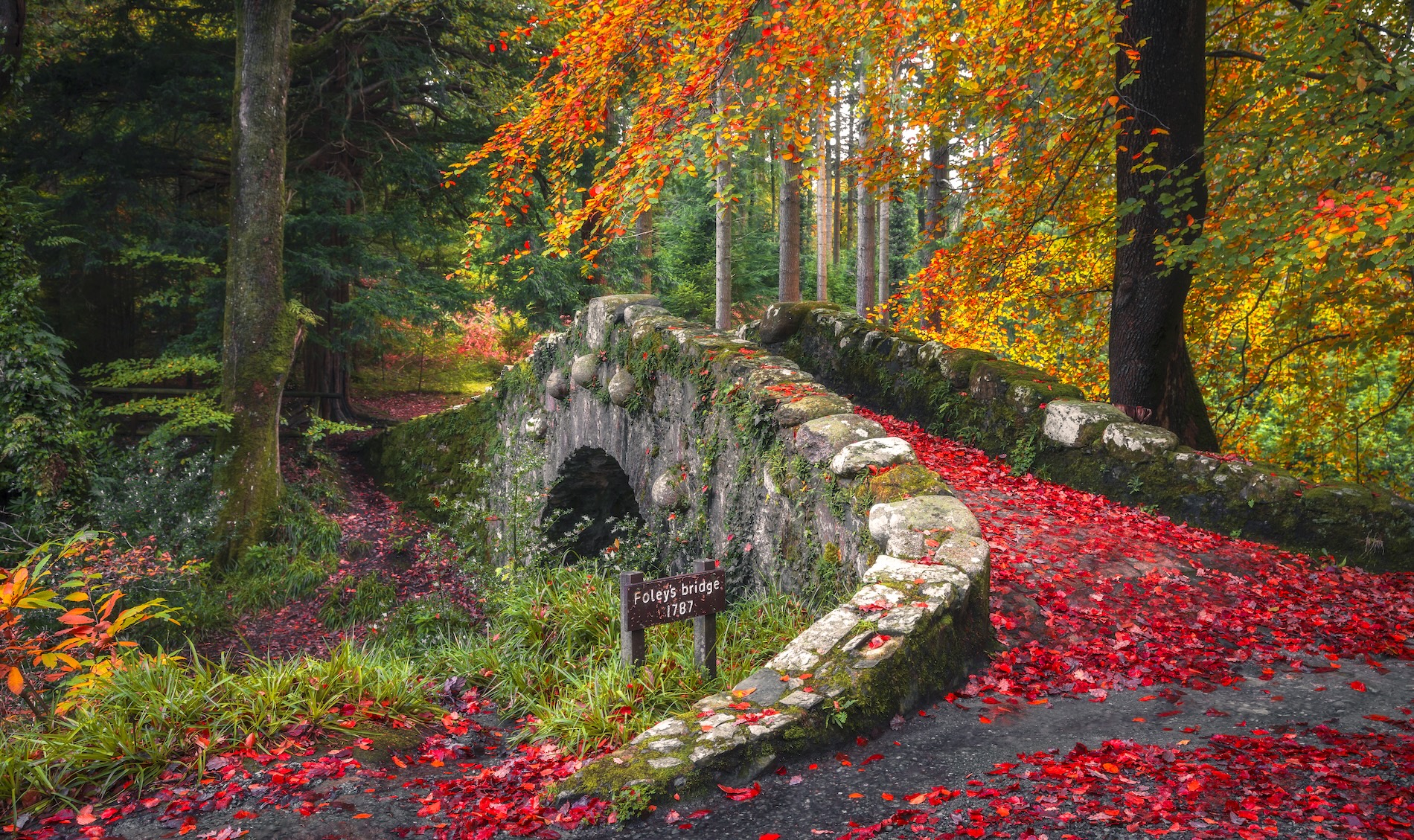 Autumn leaves carpet Foley’s Bridge in Tollymore Forest Park, County Down.