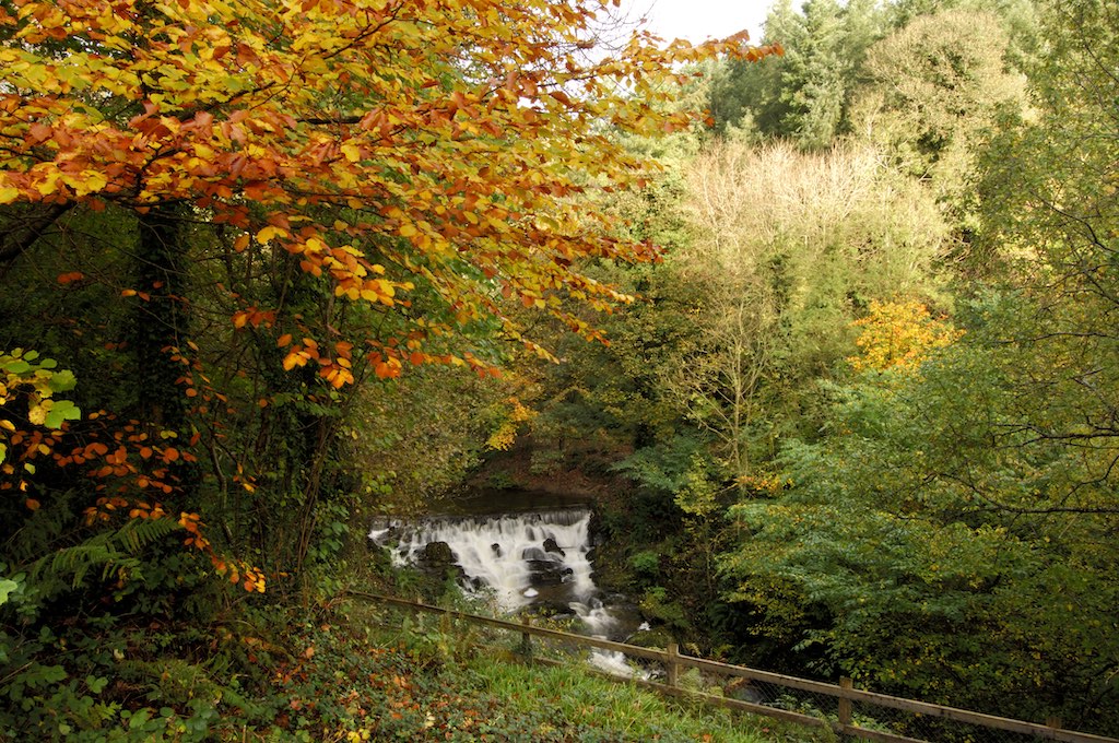 Discover County Cavan In Ireland's Hidden Heartlands | Ireland.com