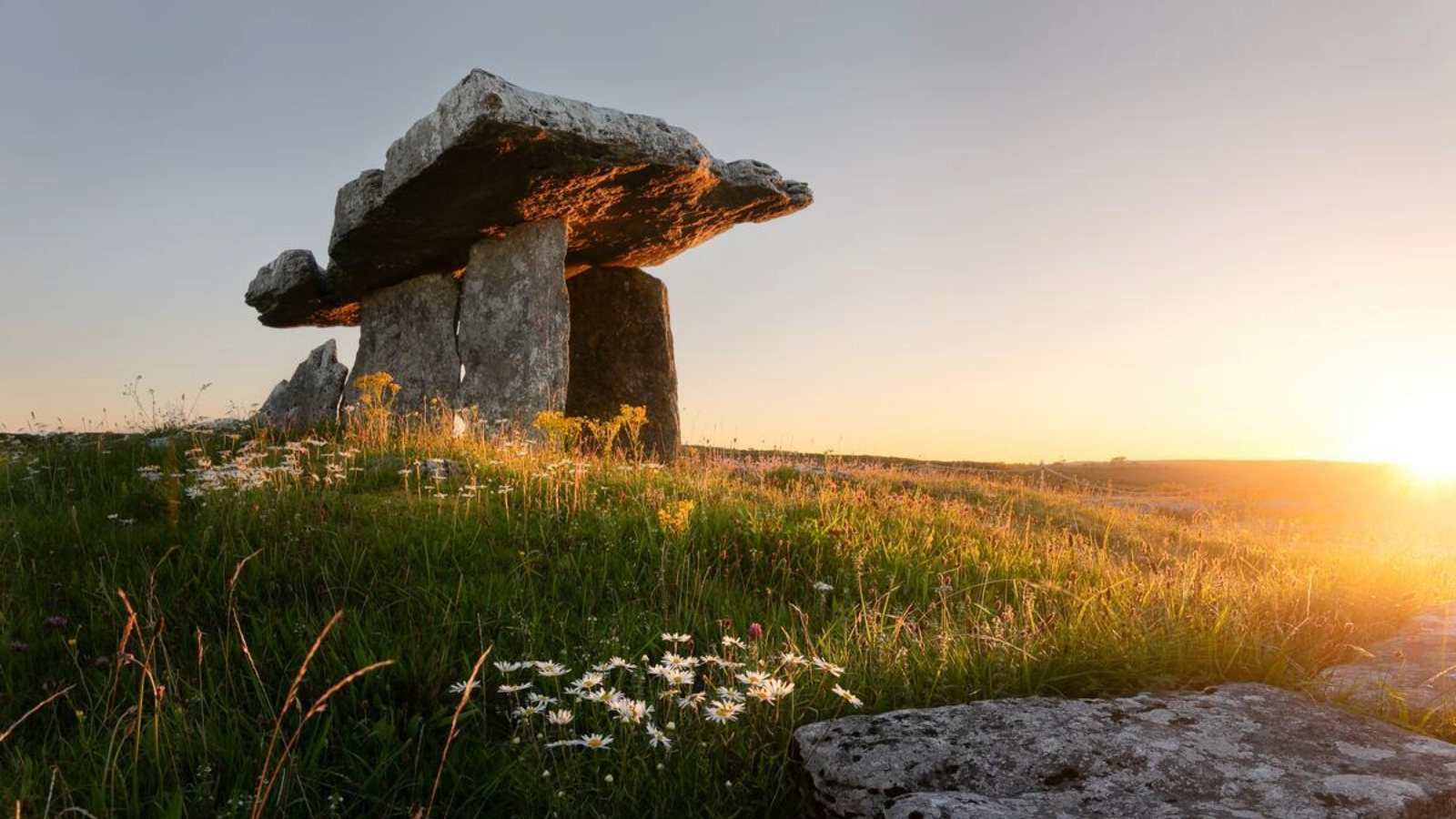 Poulnabrone Dolmen at sunset with wildflowers in the Burren, County Clare.