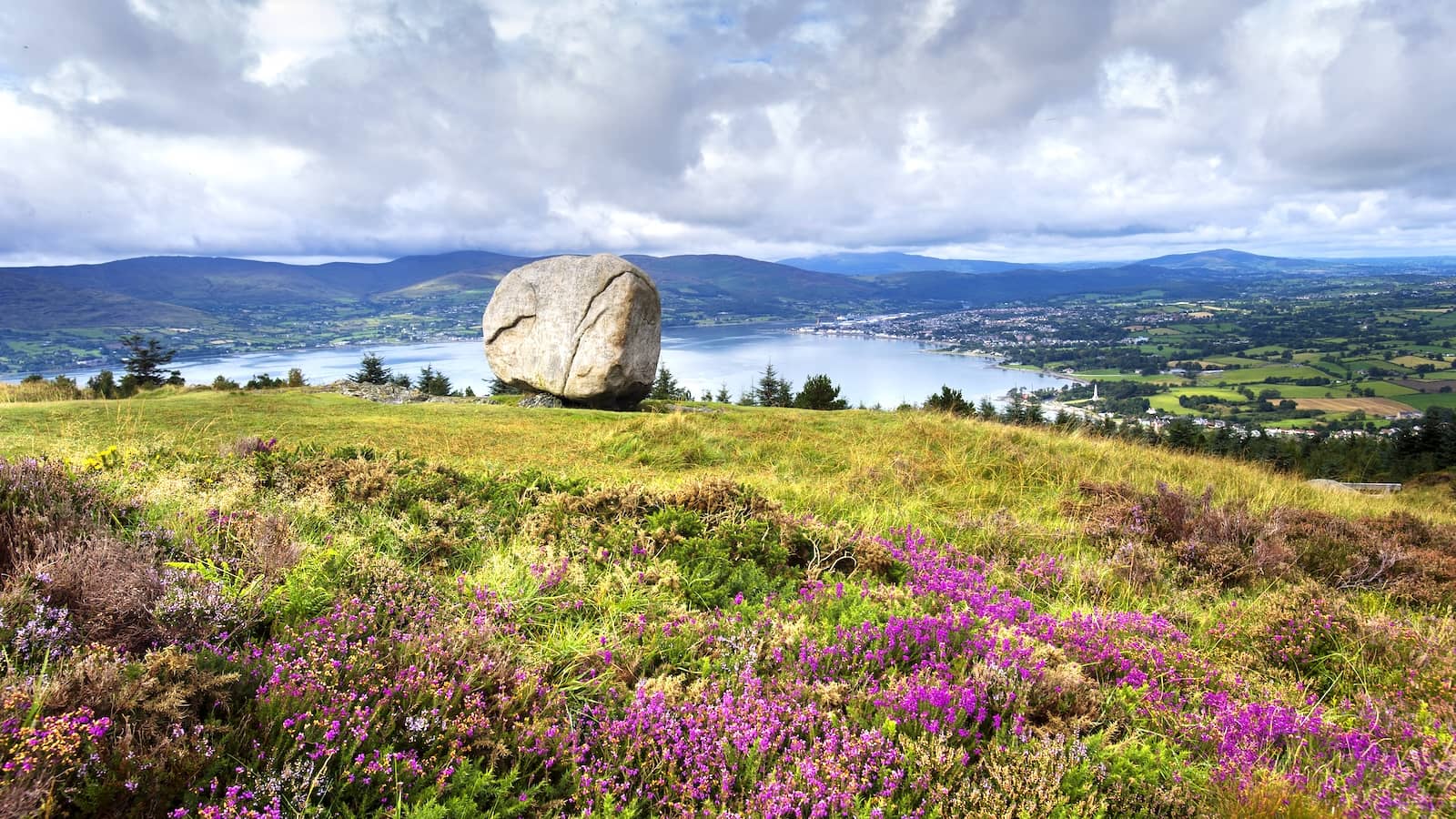 Cloughmore Stone overlooking Carlingford Lough and the Mourne landscape in County Down with colourful heather in bloom.