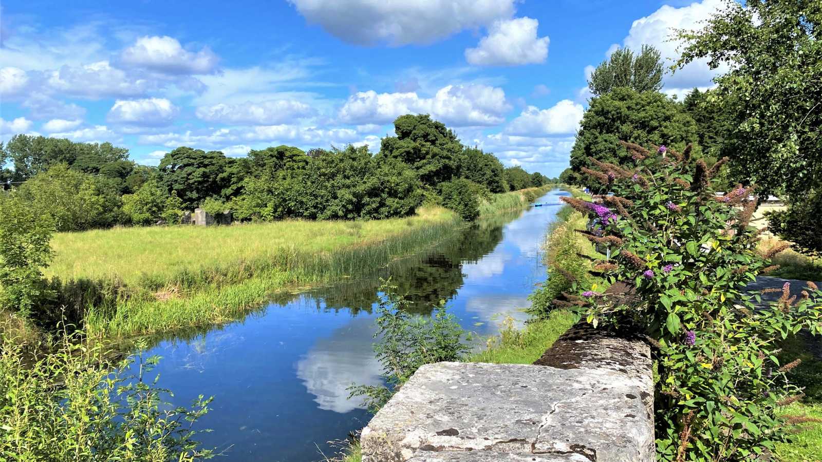 The Grand Canal winds through green countryside near Sallins, County Kildare, under blue skies.
