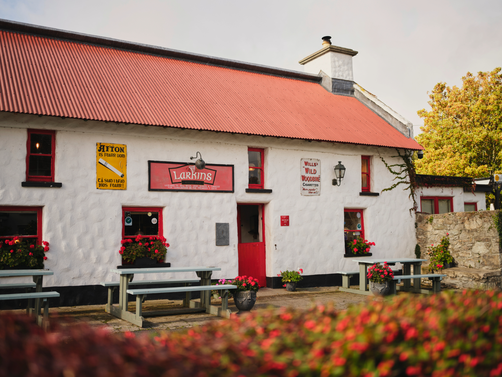 Traditional whitewashed Larkins pub with red windows and flower boxes in Garrykennedy, County Tipperary.
