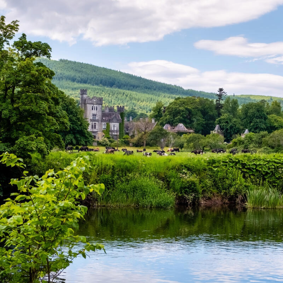 Historic Kilsheelan village beside the River Suir with woodland and countryside, County Tipperary.