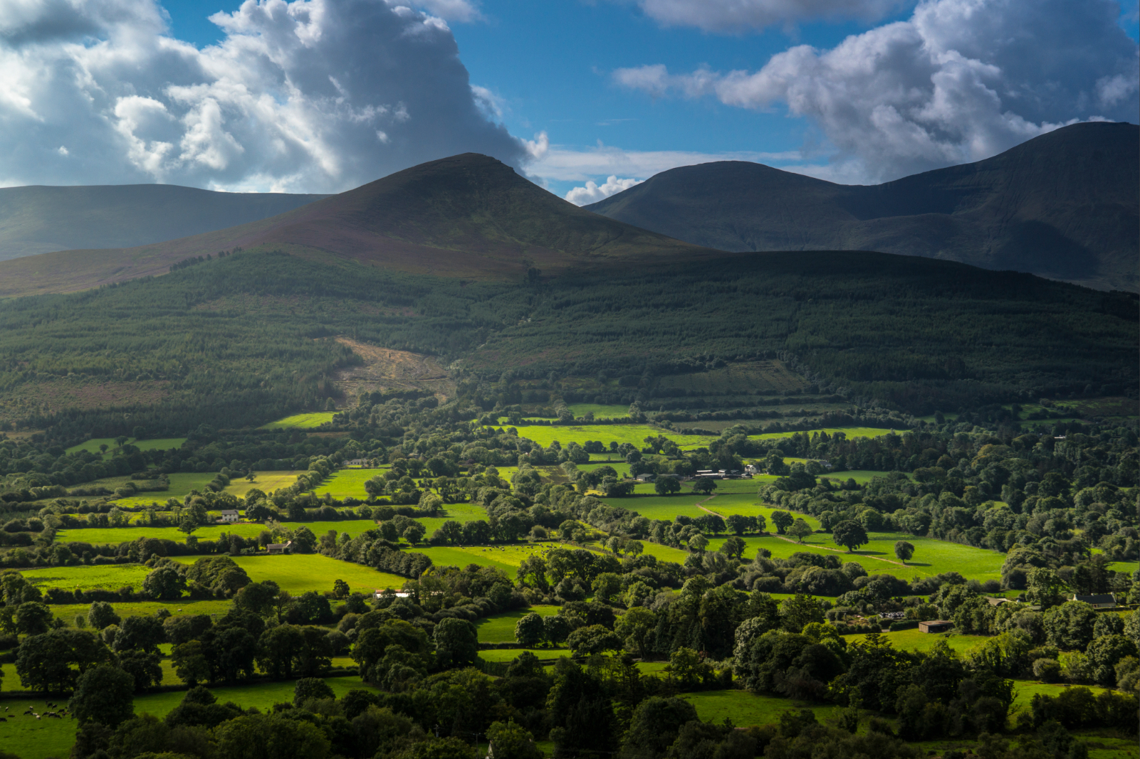 Green fields beneath the Galtee Mountains in the Glen of Aherlow, County Tipperary.