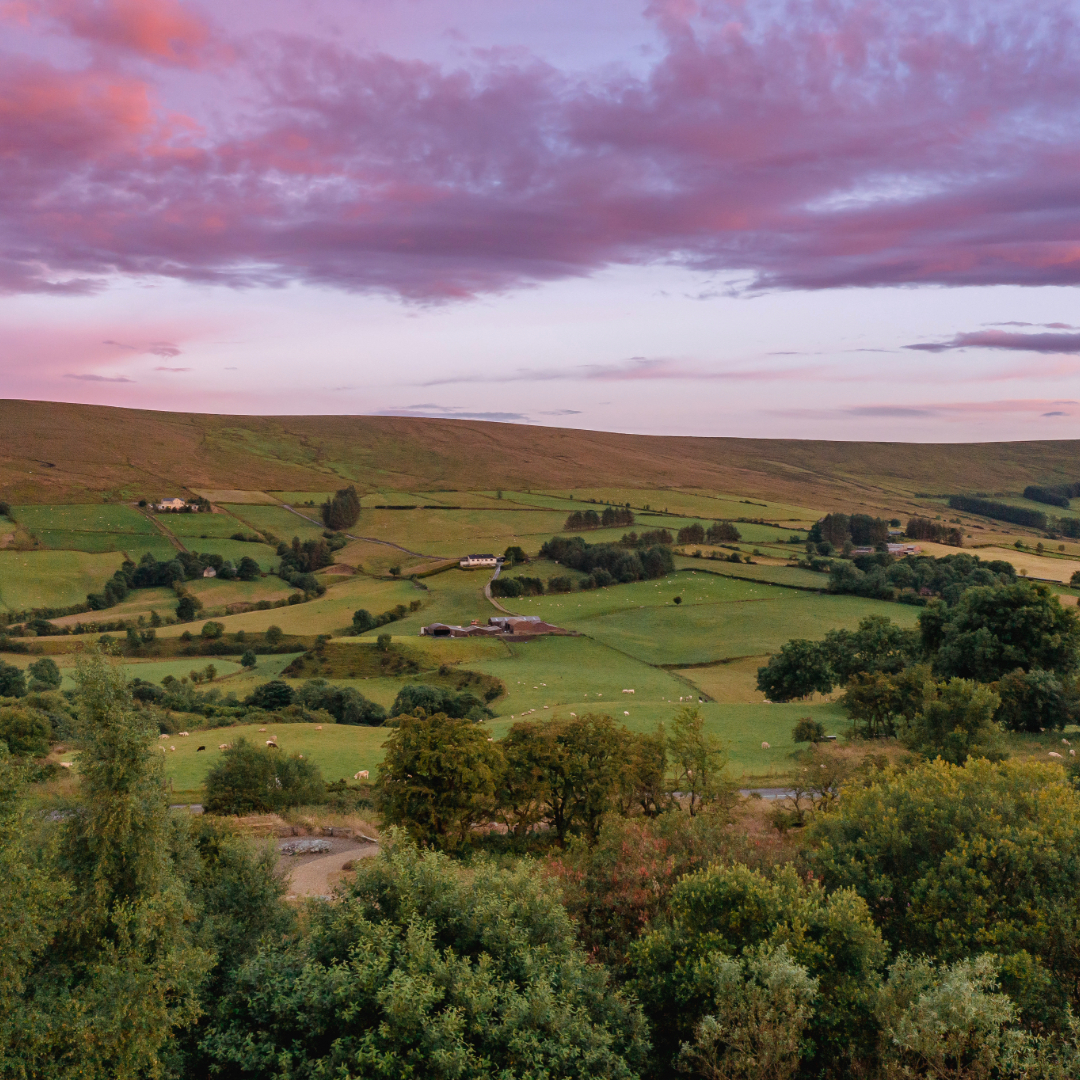 Patchwork farmland across the Sperrin Mountains, County Tyrone, beneath a pink sunset sky.