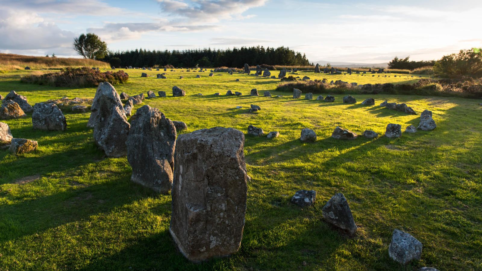 Ancient stone circles at Beaghmore Stone Circles, County Tyrone, in warm evening light.
