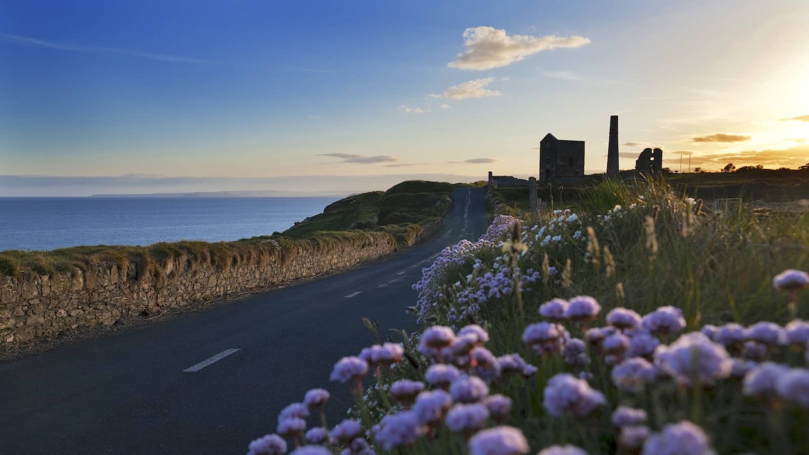 Coastal road along the Copper Coast in County Waterford with wildflowers and sea views at sunset.