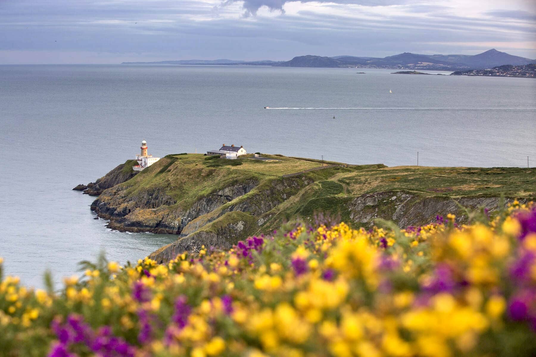 Lighthouse on a coastal headland above cliffs, with wildflowers in the foreground and sea views behind.