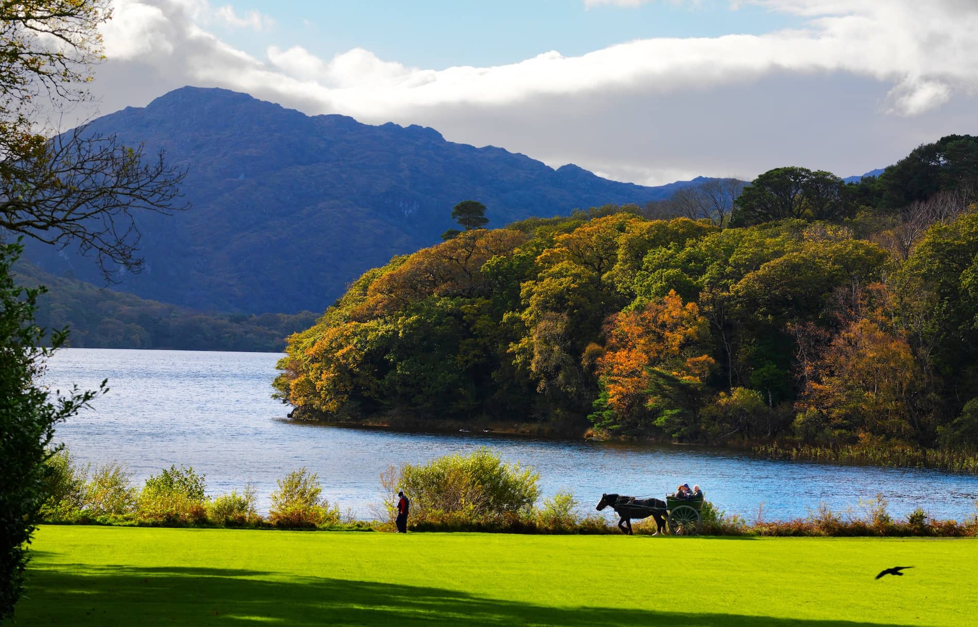 Killarney – a Wild Atlantic Way showstopper! | Ireland.com