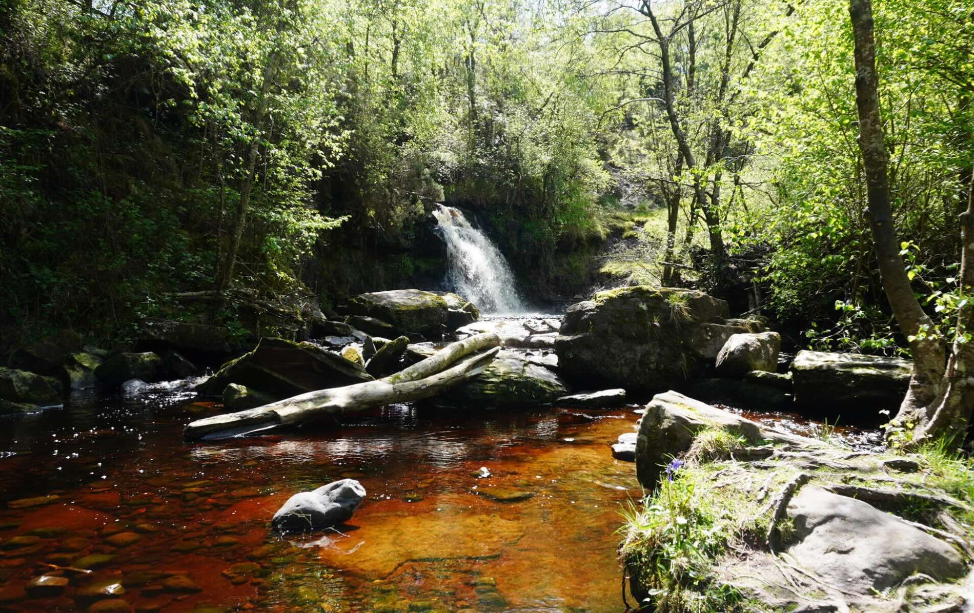Slieve bloom discount