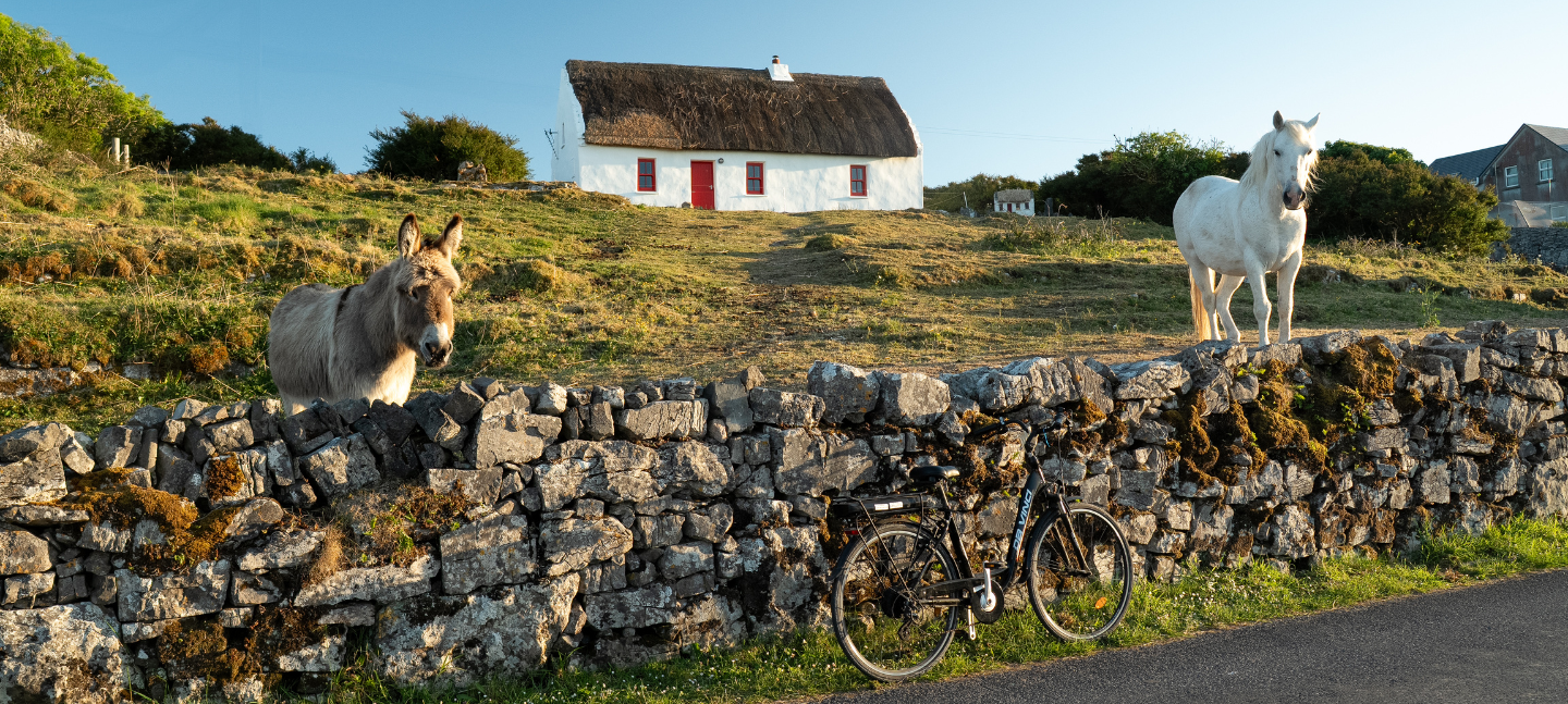 Ponies in front of a cottage