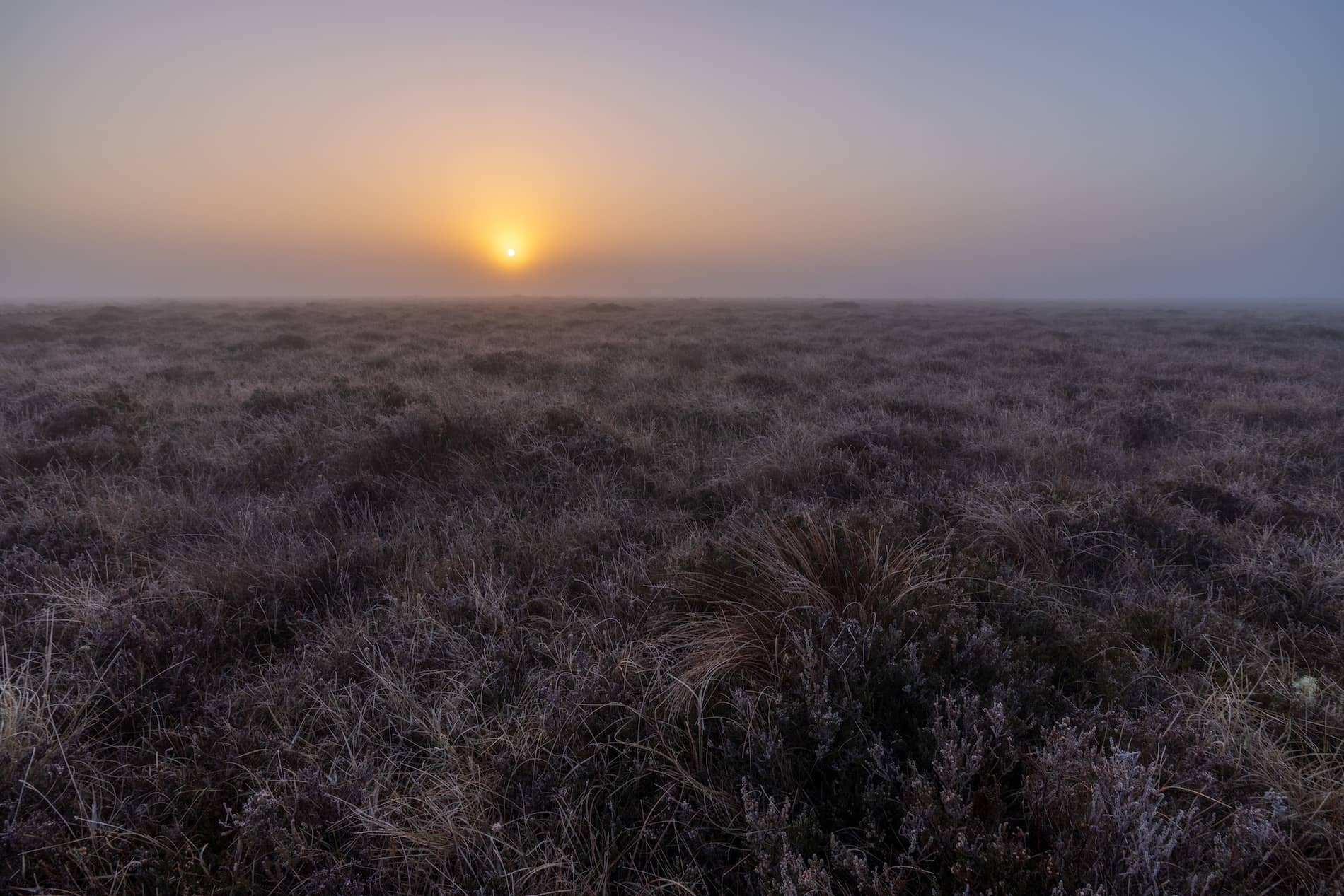 homepage-tabber-sunrise-clara-bog-offaly