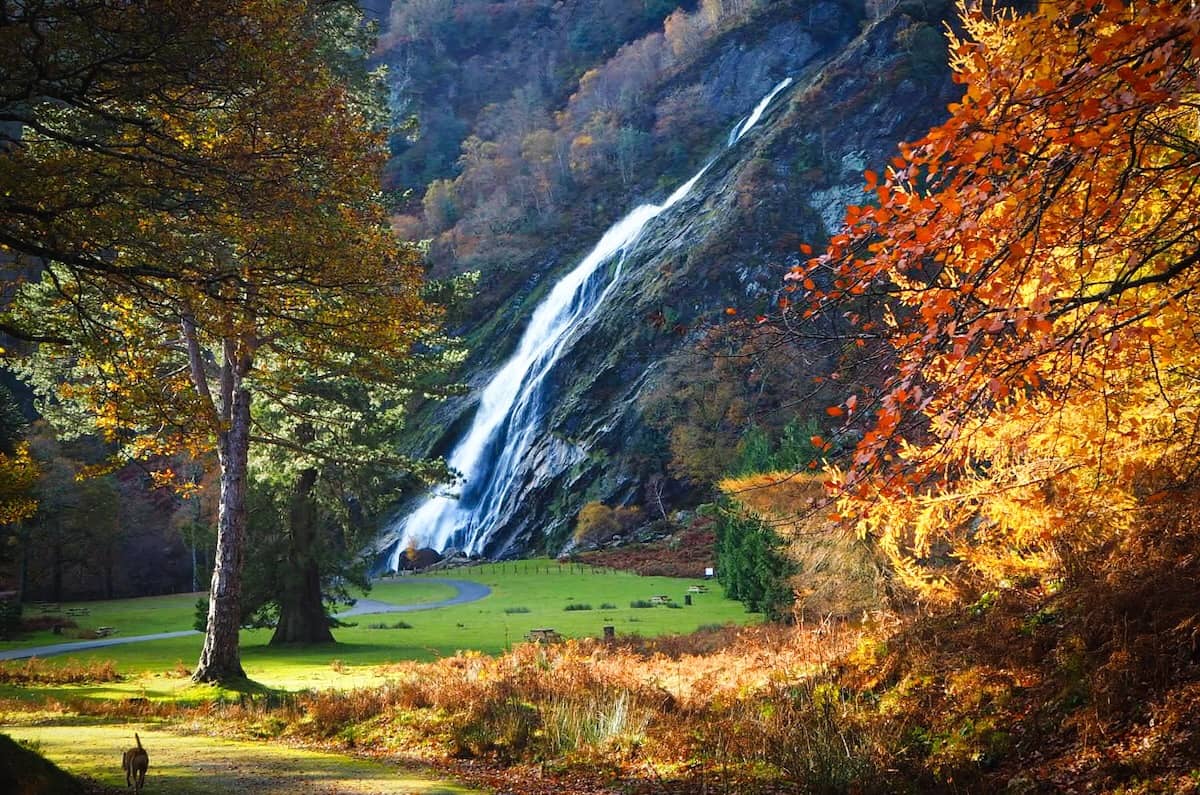 Powerscourt Waterfall cascading down rocky cliff in Wicklow Mountains, framed by autumn trees and parkland.