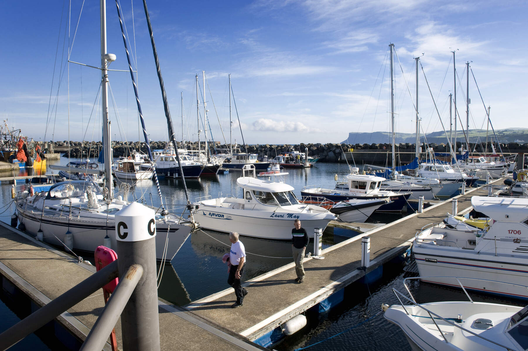 Ballycastle Harbour CoWeb Size
