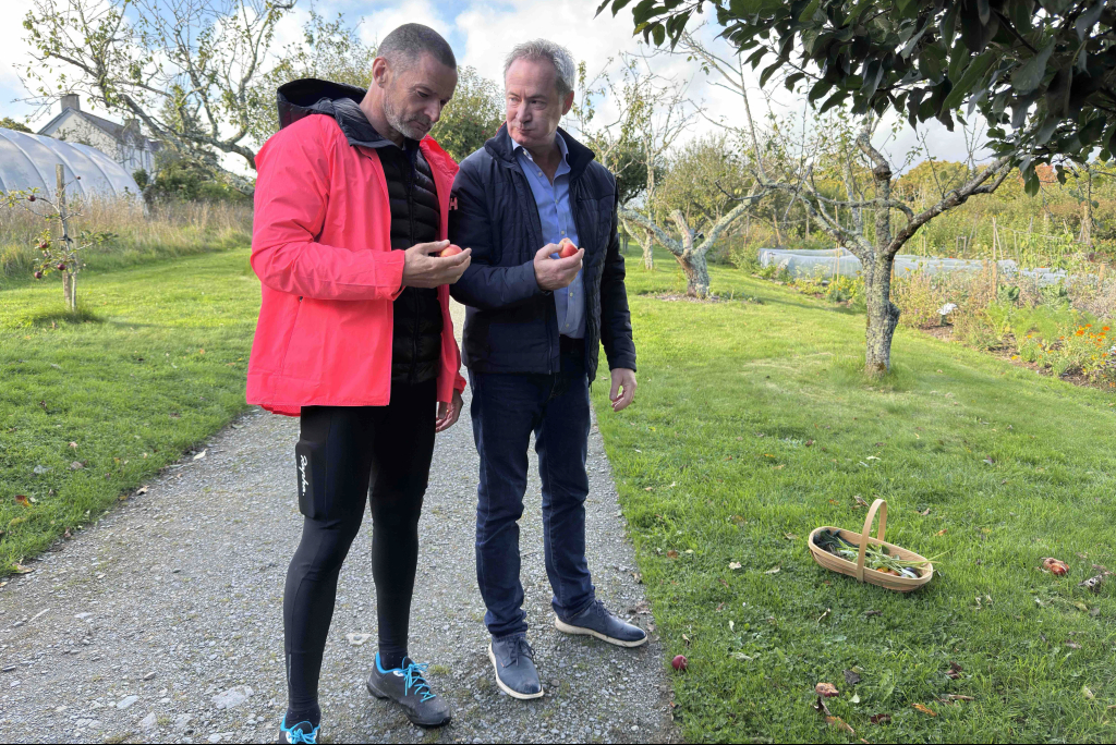 Fred apple picking at Mount Congreve Gardens in County Waterford on a clear, blue sky day.