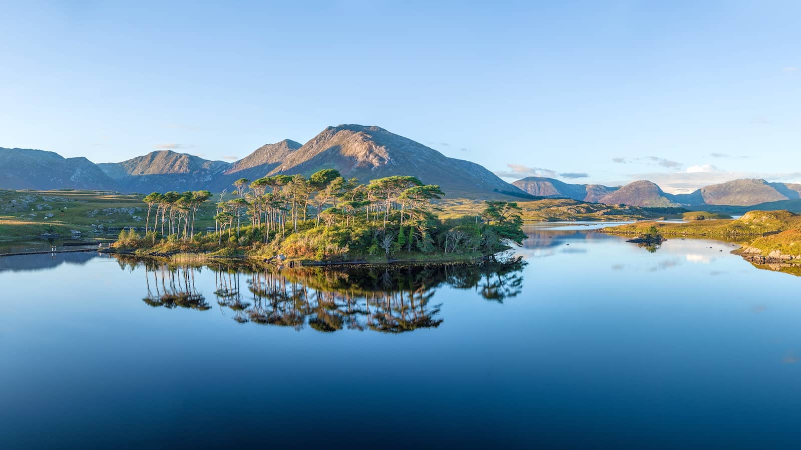 Pine-covered island reflected in a still Connemara lake with mountains rising beyond, County Galway.